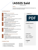 258 Modele CV Type Chronologique PDF