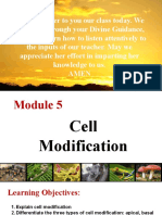 Cell Modification