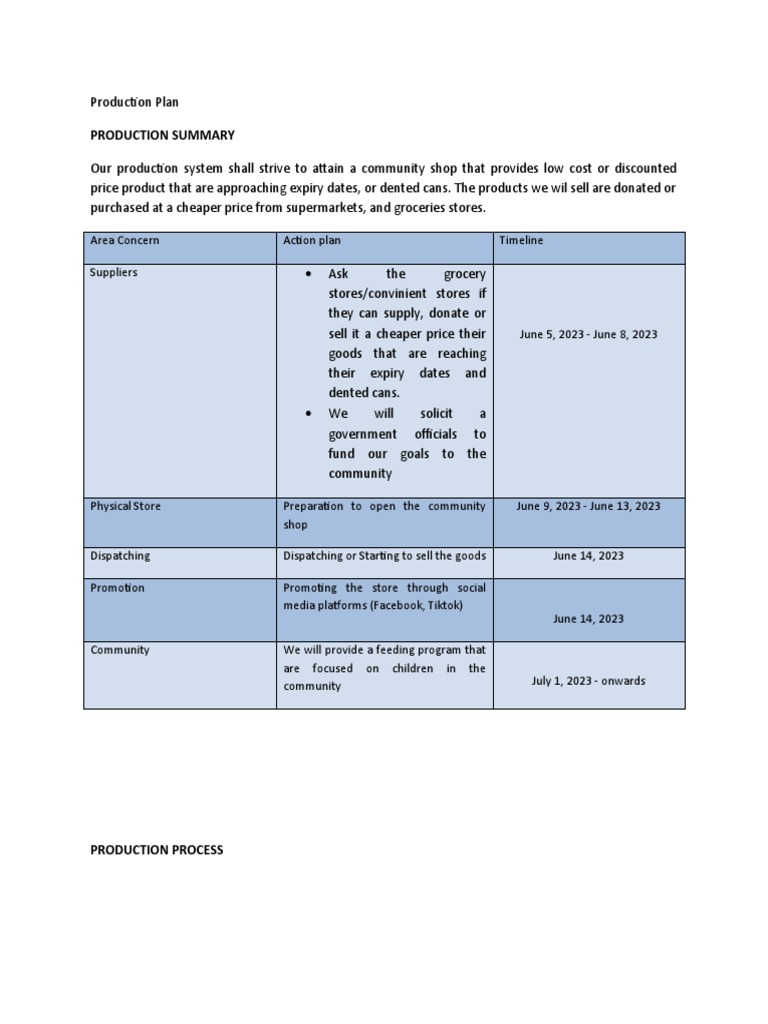 Production Plan | PDF