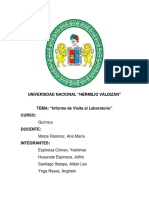 Informe de Visita Al Laboratorio