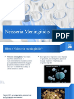 Neisseria Meningitidis