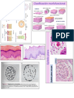 Histología