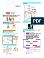 Resumen Anato Solemne 1 PDF