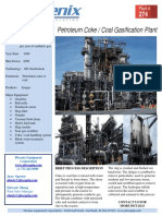 Coke and Coal Gasification Plant 2 200 TPD 107