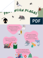 Prevención Plagas