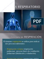 Sistema Respiratorio