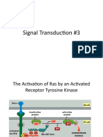 Signal Transduction Lecture 3