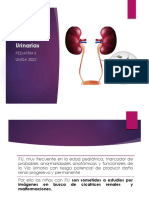 Infecciones Urinarias: Pediatria Ii UNIDA 2022