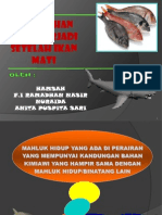 Perubahan Biokimia Setelah Ikan Mati