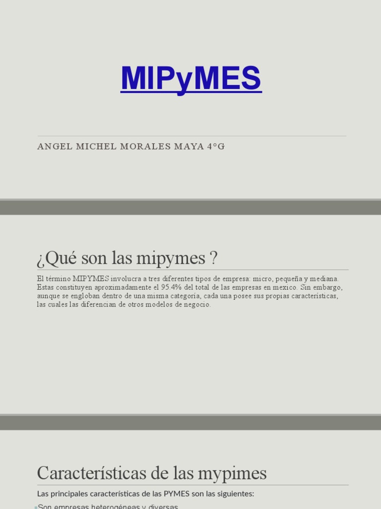 Importancia y características de las MIPYMES | PDF | Pequeñas y ...