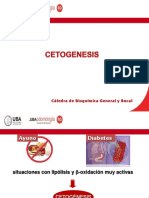 16 b. Presentación de la videoclase de Metabolismo de los cuerpos cetónicos