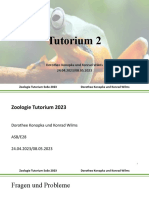 Zoologie Tutorium 2