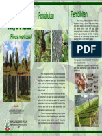 Leaflet Budidaya Pinus