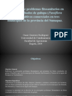 Informe 2008-2009 Evaluaciones Fitosanitarias OG