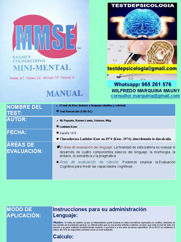 MINIMENTAL Dayel | PDF