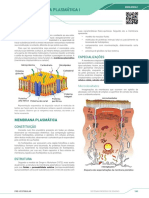 PRO ENEM MEMBRANA PLASMATICA