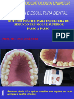 2 - Aula Prática Escultura 2PMS