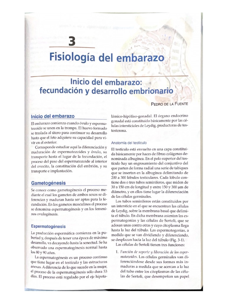 Libro Cap 3 | PDF