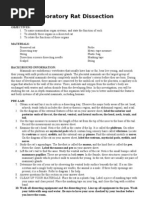 Mouse Dissection Guide: Anatomy Steps | PDF | Kidney | Liver