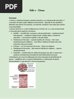 Bula Zina Odt | PDF | Gravidez | Alergia