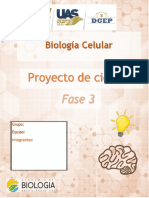 Formato Proyecto de Ciencias BCel FASE 3 2023