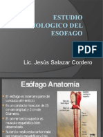 Radiologia Del Esofago