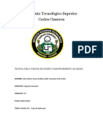 Capa de Aplicacion Informe