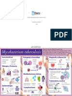 Tuberculosis Mycobacterium 285347 Downloable 1931156