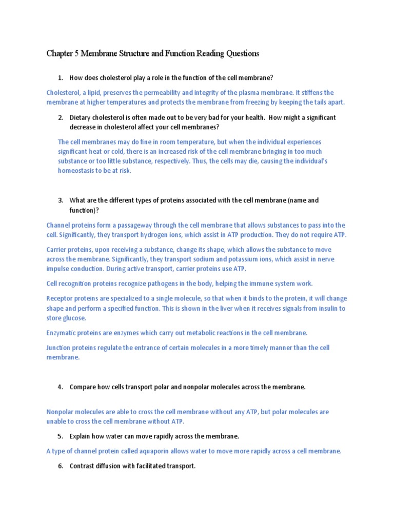Chapter 5 Reading Questions PDF Cell Membrane Extracellular Matrix