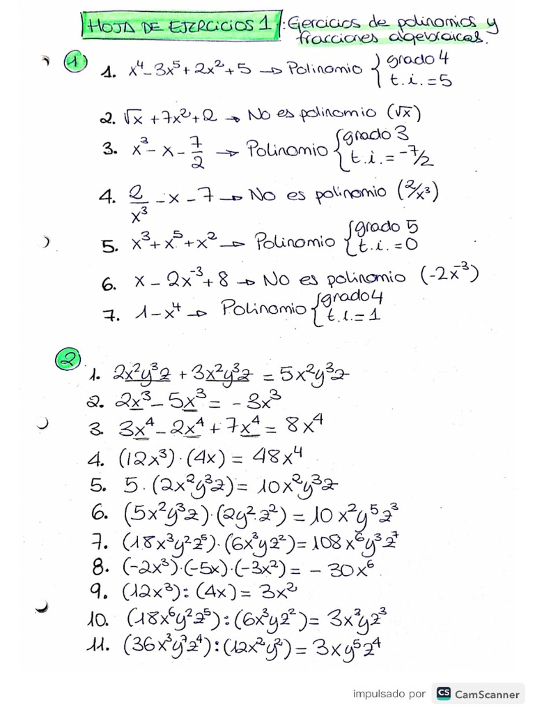 02-1 Ejercicios de Polinomios y Fracciones Algebraicas - SOLUCIONES | PDF