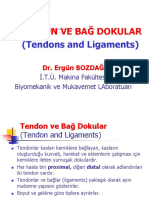 05_Biomekanik_MAK_526_TENDON-BAG