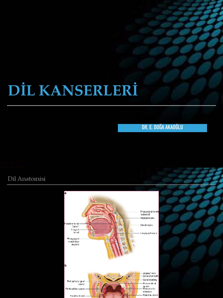 Dil Ca | PDF