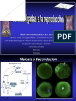 10-12. Reproducción y Toxicidad