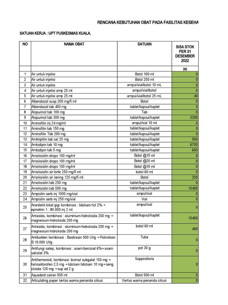 Format Rko Puskesmas 2024 17022023 (1) Ya | PDF