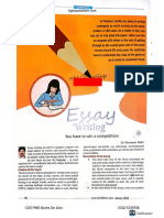 Essay Guidance