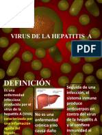 30.HEPATITIS A HEPATITIS B