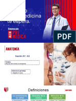 PPT Anatomía - Sesión 02 - Tagged