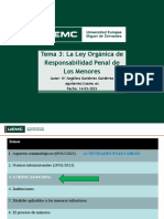 Tema 3 Lorpm