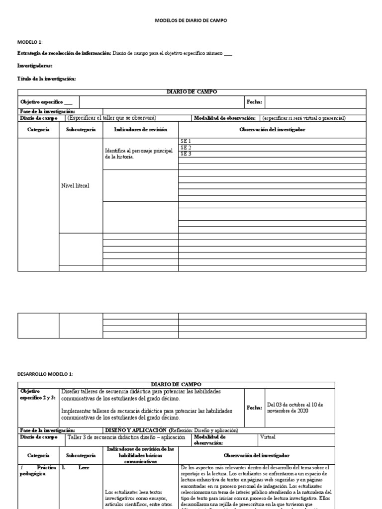 Modelos de Diario de Campo | PDF | Enseñando | Maestros