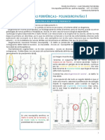 1.polineuropatias M1