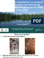 Impactos de La Degradación en Turberas de Aguajales Sobre Las Reservas de Carbono y Emisiones de Gases de Efecto Invernadero
