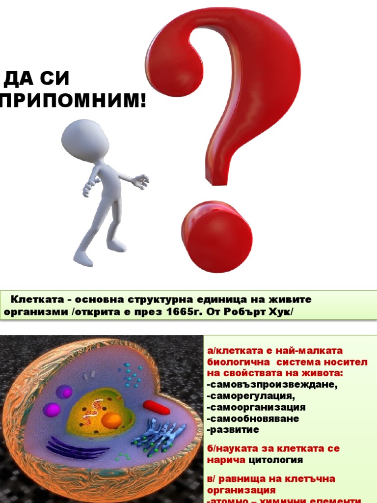 СТРУКТУРА НА КЛЕТКАТА | PDF
