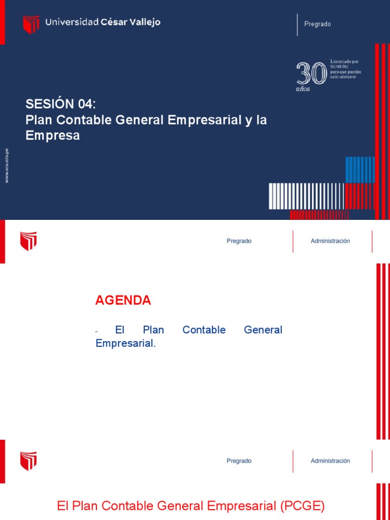 Estructura del Plan Contable Empresarial | PDF | Contabilidad | Hoja de ...