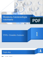 Monitoria TIVA