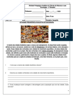 Atividade Avaliativa Geografia e Sócio Emocional