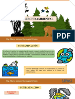 Semana 2 - Derecho Ambiental - La Contaminación