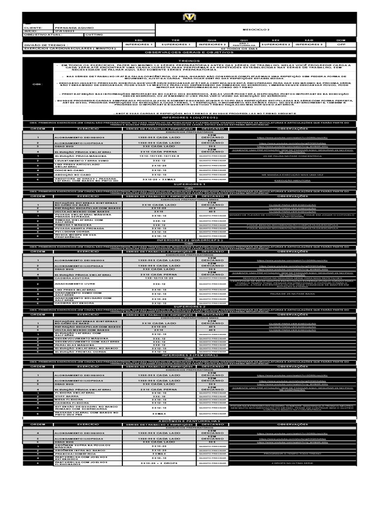 Protocolo Fernanda Aquino - Treino - Meso 2 | PDF