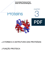 Cap.3 Proteinas
