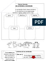 Ciencias Naturales Animales Vertebrados e Invertebrados