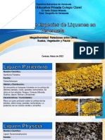 Catálogo Liquenes, Calderón, Linares, Salvatore 3 A